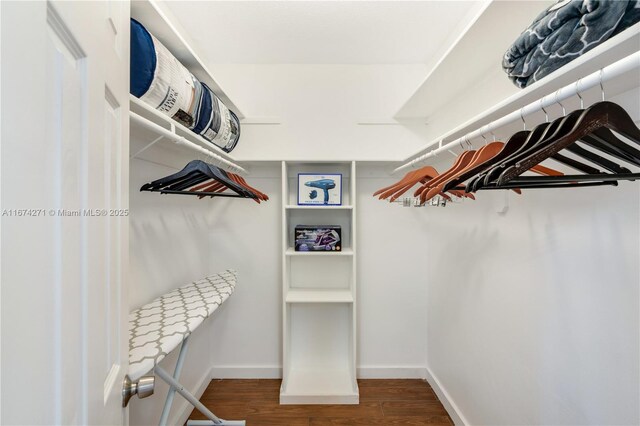 walk in closet featuring wood-type flooring