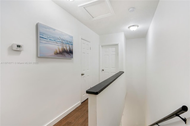 hallway featuring dark wood-type flooring