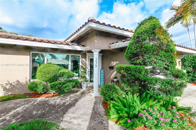 view of entrance to property