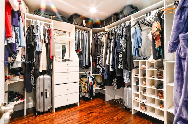 walk in closet with hardwood / wood-style flooring