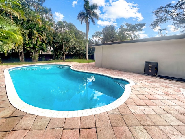 view of pool featuring a patio