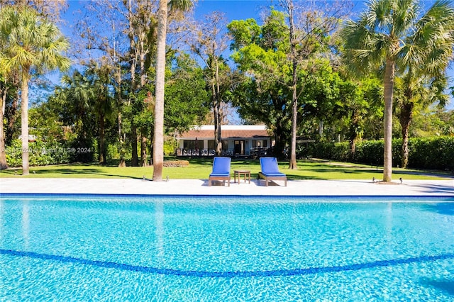 view of swimming pool with a patio and a lawn