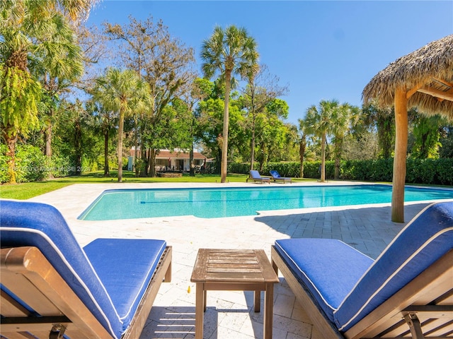 view of swimming pool with a patio area