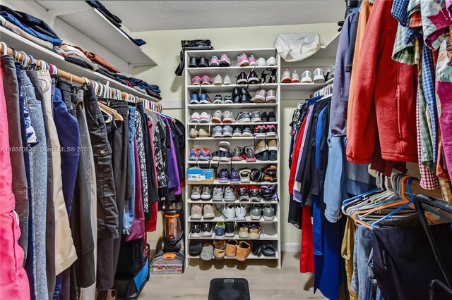 spacious closet with wood-type flooring