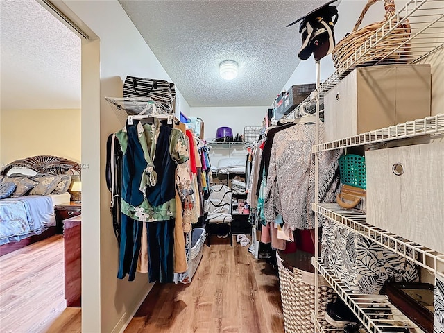 walk in closet featuring hardwood / wood-style flooring