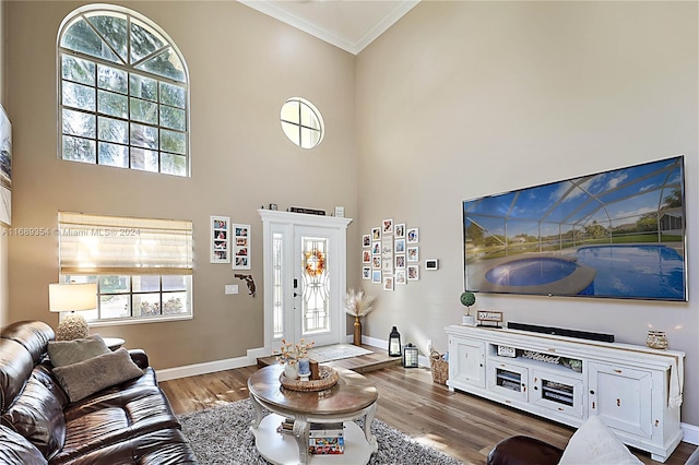 living room featuring a high ceiling, wood-type flooring, and crown molding