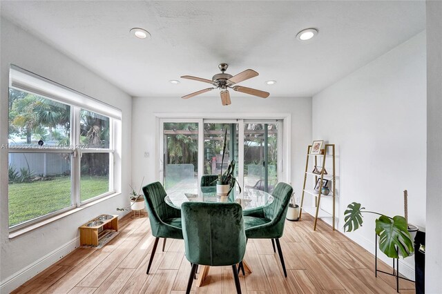 dining area featuring ceiling fan and light hardwood / wood-style flooring