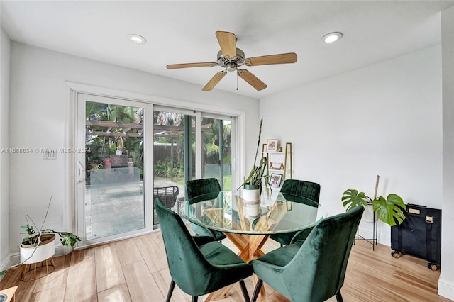 dining room with light hardwood / wood-style flooring and ceiling fan