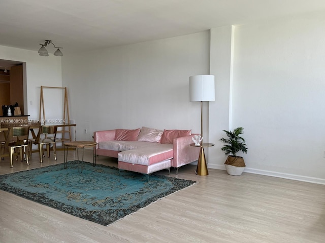 living room featuring wood-type flooring