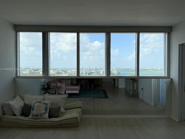 living room featuring hardwood / wood-style flooring and a healthy amount of sunlight