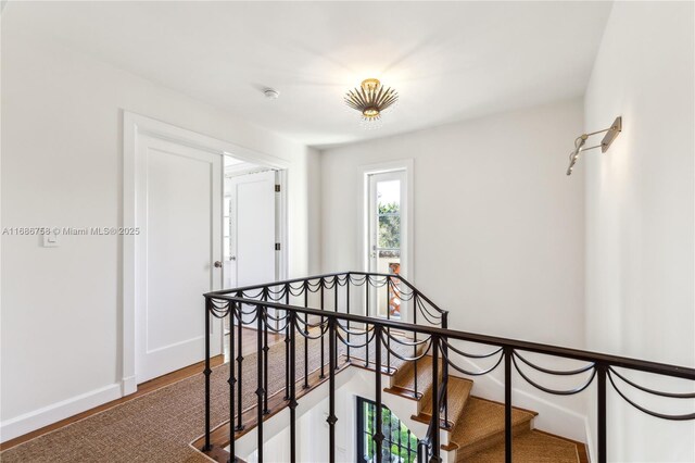 hall with hardwood / wood-style floors