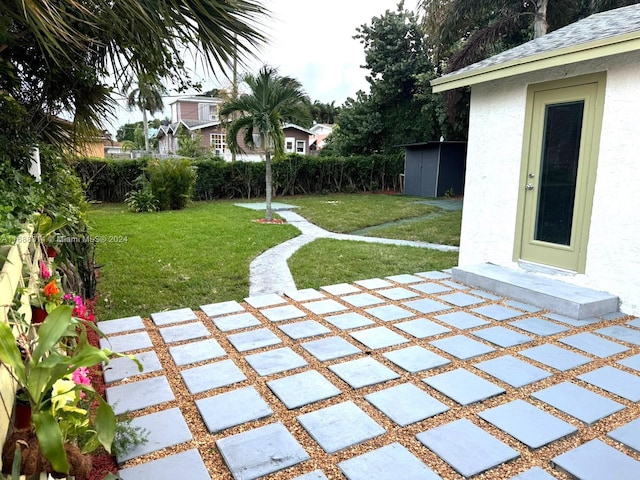 view of yard featuring a patio and a storage unit