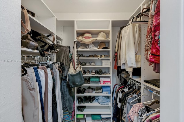 view of walk in closet