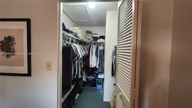 spacious closet with carpet floors