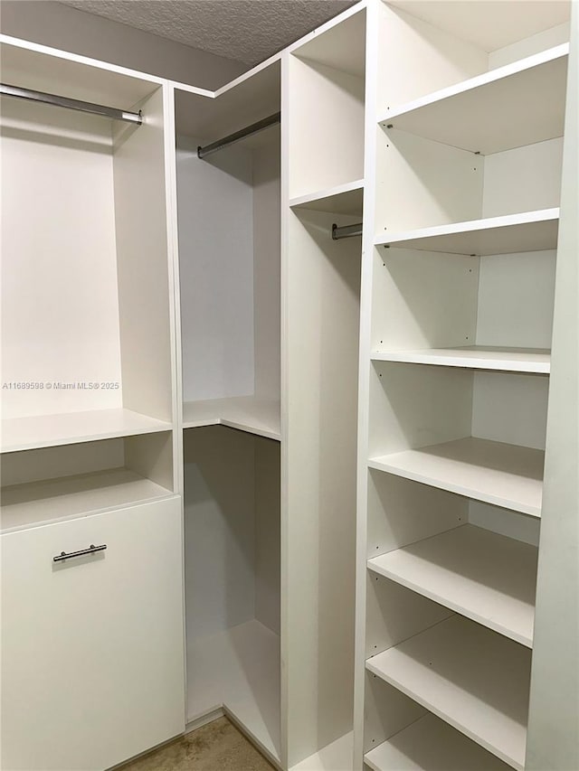 view of walk in closet