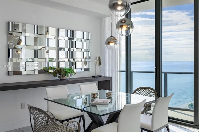 dining room with a water view and a healthy amount of sunlight