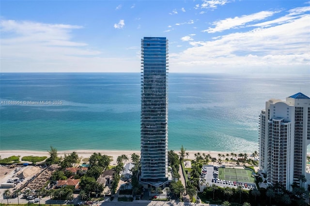 water view featuring a beach view