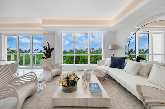 carpeted living room with plenty of natural light