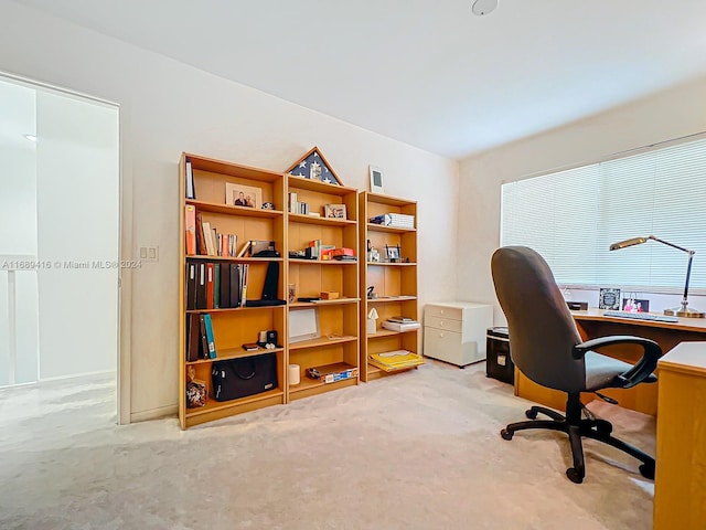 home office with light carpet