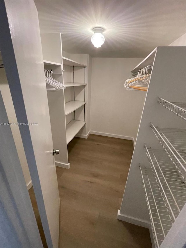 walk in closet with dark wood-type flooring