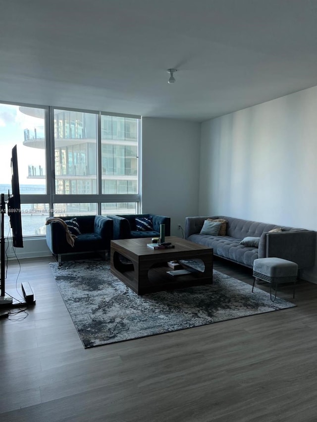 living room featuring hardwood / wood-style floors