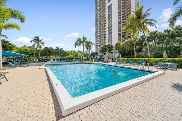 view of swimming pool with a patio area