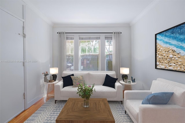 living room featuring ornamental molding and light hardwood / wood-style flooring