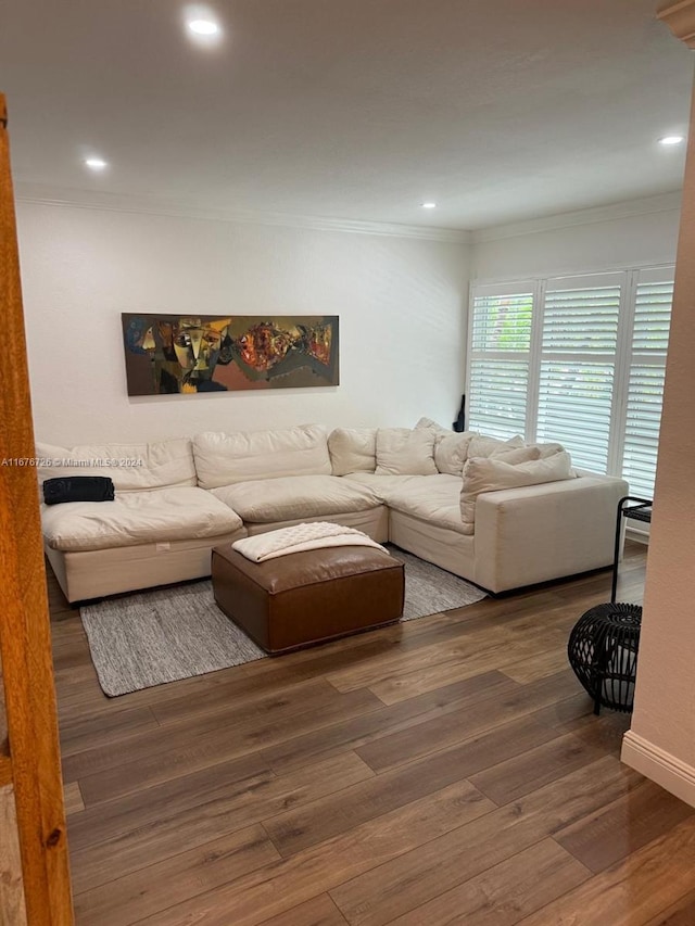 living room featuring dark hardwood / wood-style floors and crown molding