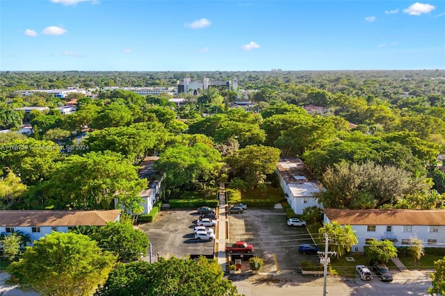 bird's eye view