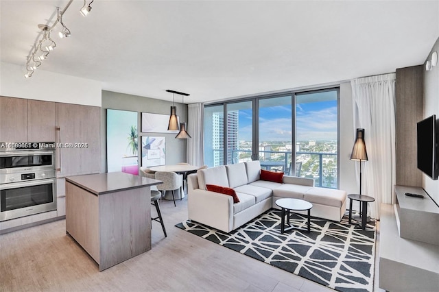 living room featuring light hardwood / wood-style floors, track lighting, and floor to ceiling windows