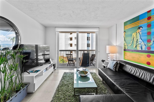 living room featuring a textured ceiling