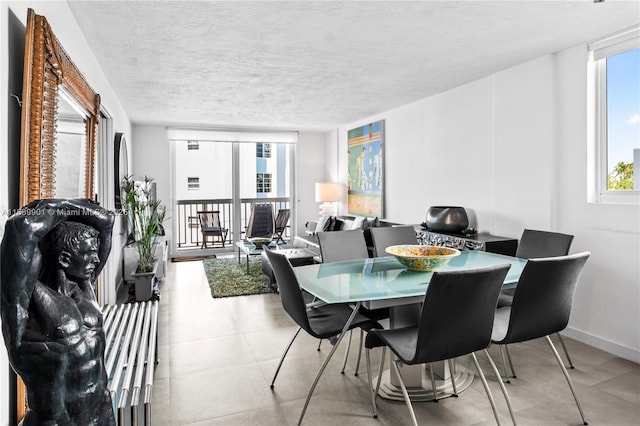 dining room with a textured ceiling