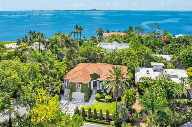 aerial view with a water view