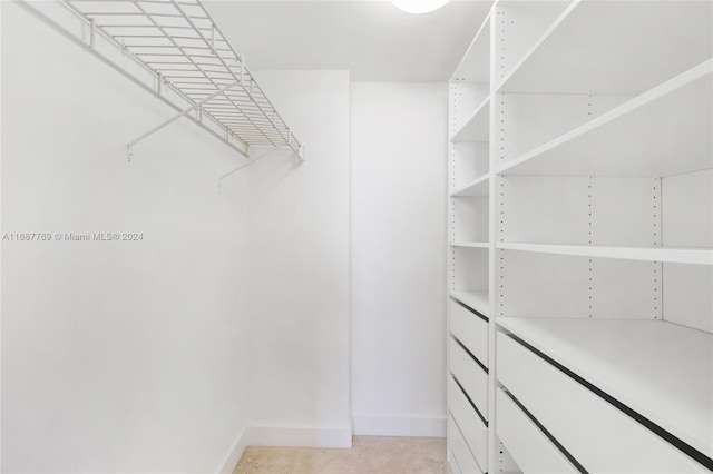 walk in closet with light carpet