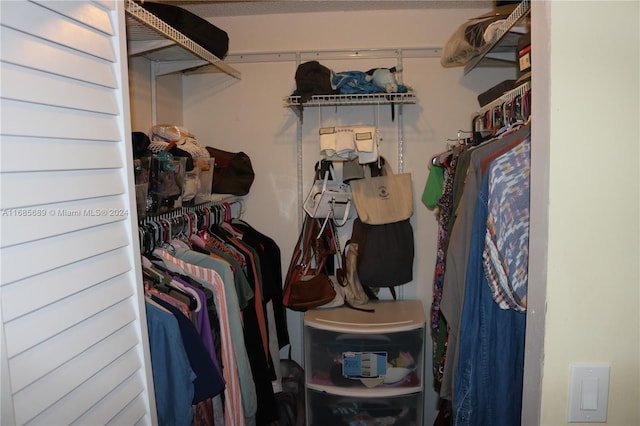 view of spacious closet