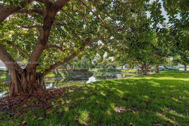 view of yard with a water view