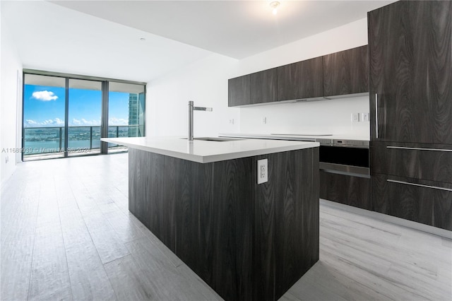 kitchen featuring sink, a kitchen island with sink, floor to ceiling windows, and light hardwood / wood-style flooring