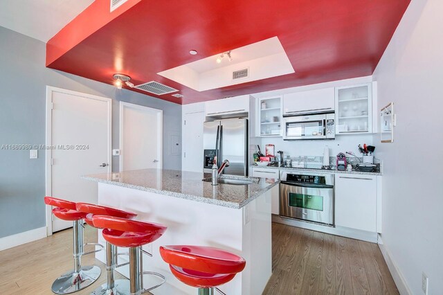 888 Biscayne Blvd Unit 4007, Miami, FL 33132 - kitchen featuring appliances with stainless steel finishes, a tray ceiling, a sink, and light wood finished floors
