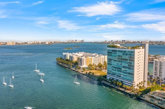 bird's eye view with a water view