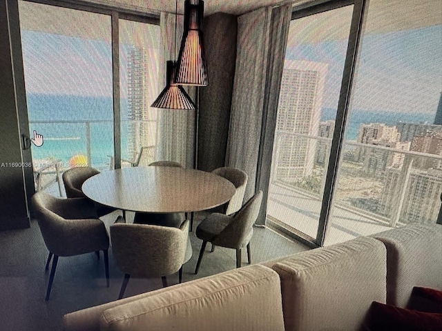 dining area featuring carpet flooring