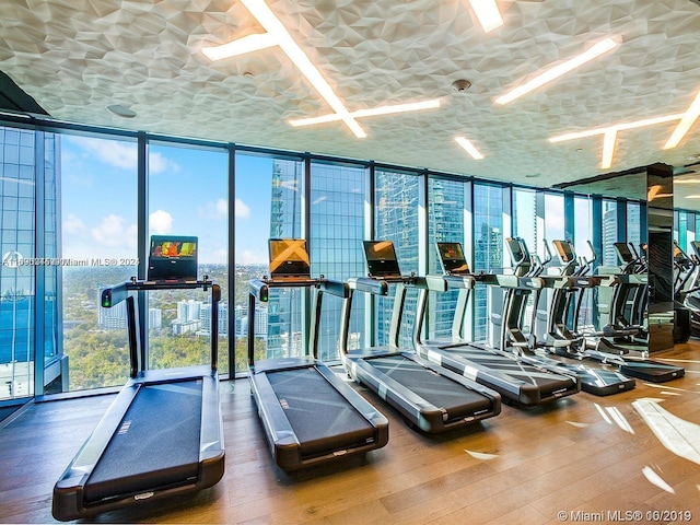 workout area with hardwood / wood-style flooring and floor to ceiling windows