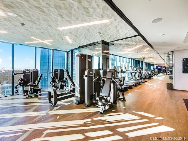 workout area featuring wood-type flooring and floor to ceiling windows