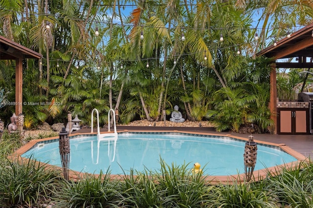 view of swimming pool