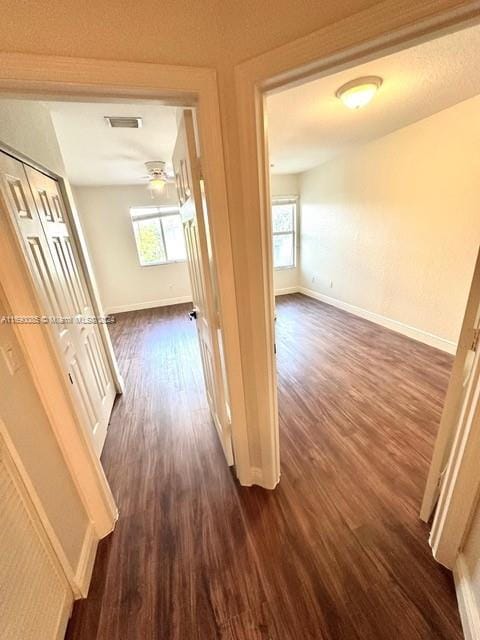 corridor featuring dark hardwood / wood-style flooring and a wealth of natural light