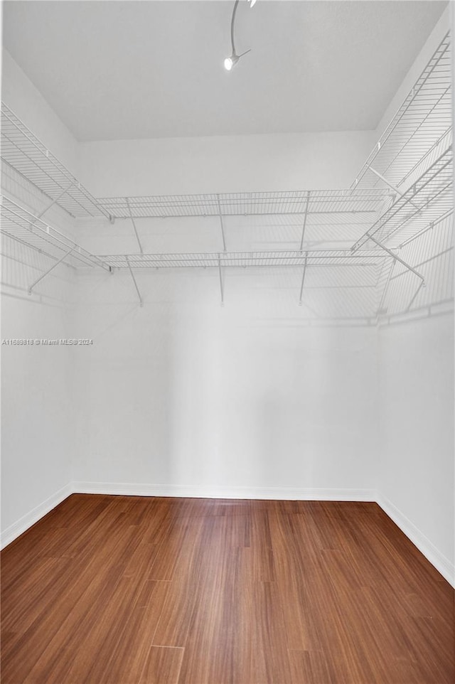 spacious closet featuring hardwood / wood-style flooring