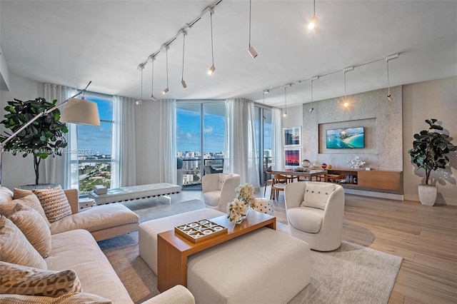 living room featuring light hardwood / wood-style floors, track lighting, and expansive windows