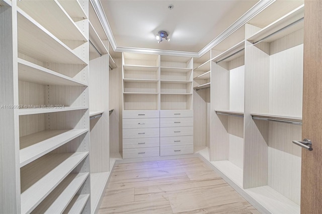 spacious closet featuring light wood-type flooring