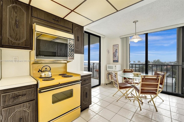 kitchen featuring white appliances, decorative light fixtures, dark brown cabinets, and a healthy amount of sunlight