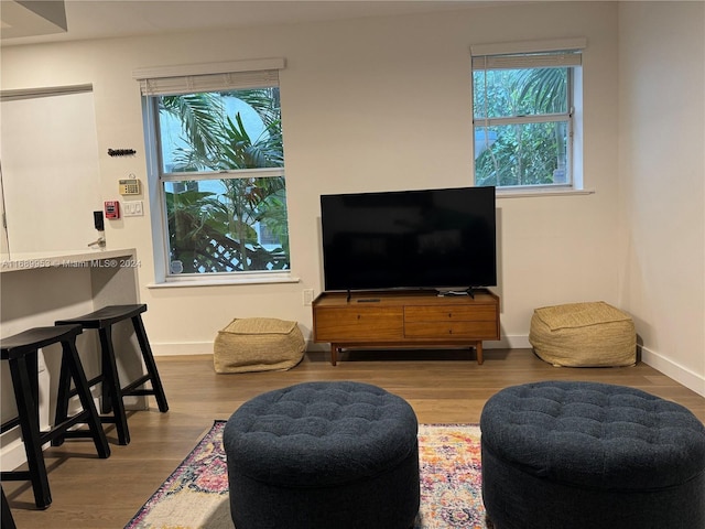 living room with hardwood / wood-style floors