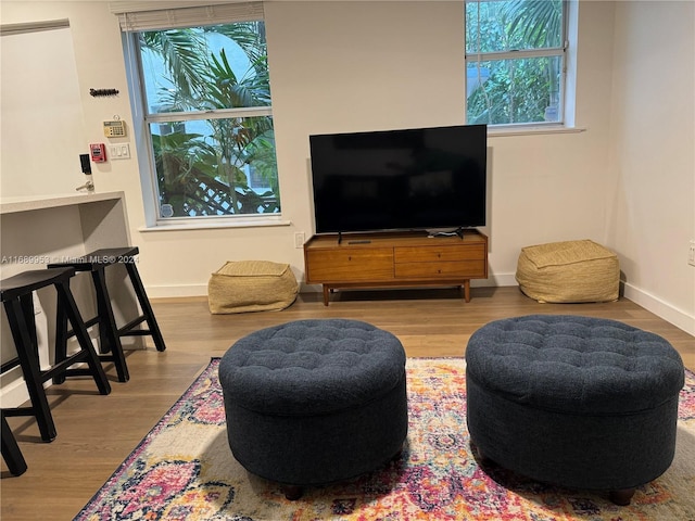 living room featuring light hardwood / wood-style floors